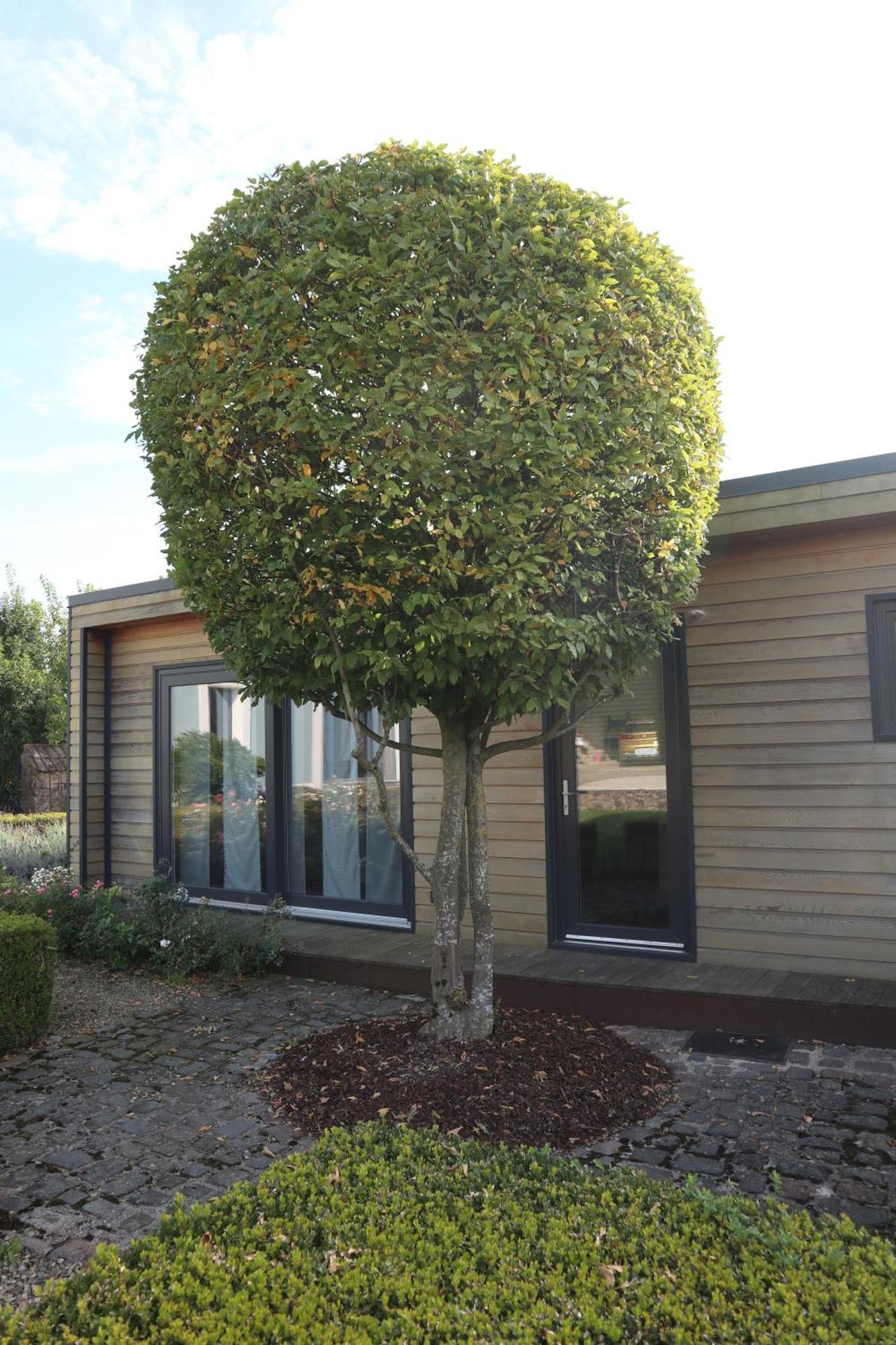 Appartamento Tinyhouse Perl Esterno foto